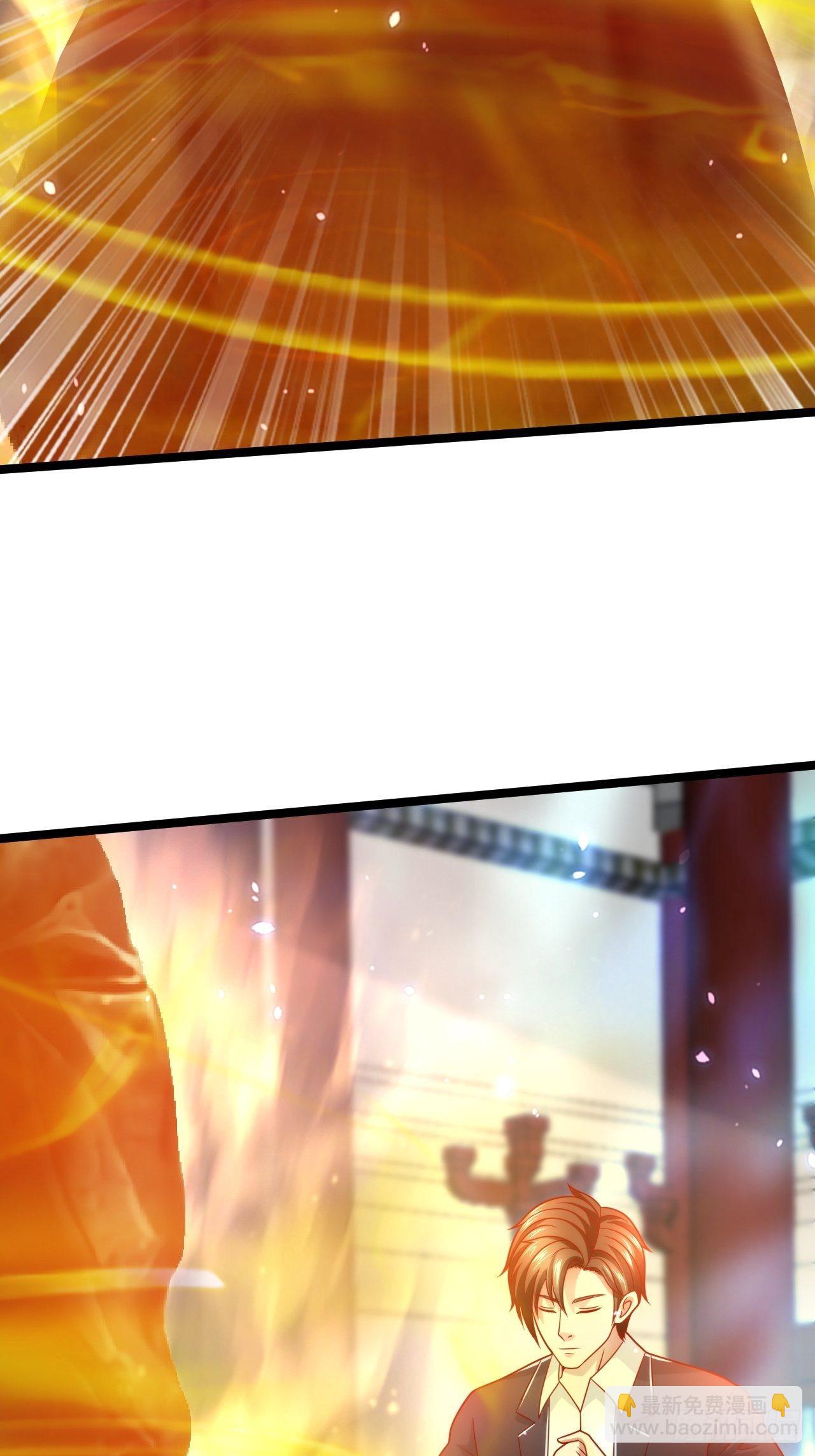 70 叶家继承人(1/2)-第72话