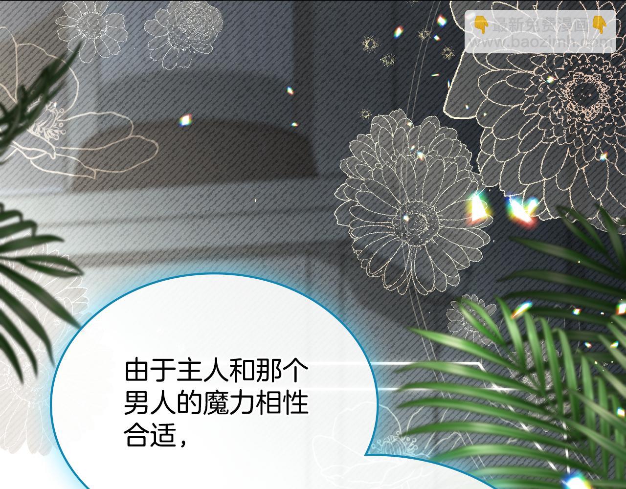 第二季完结篇 她会回来的(1/4)-第74话