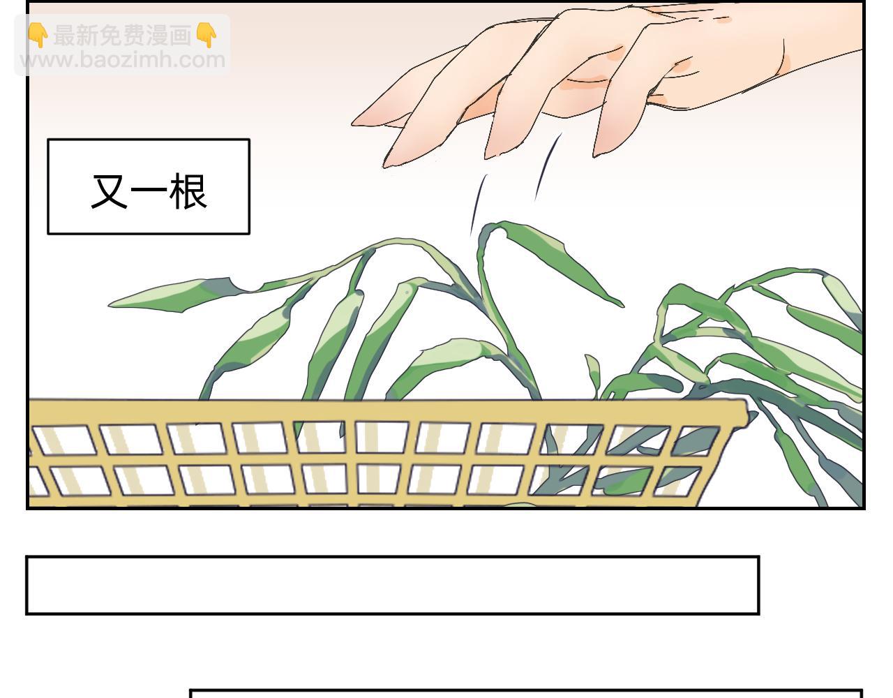 菜的清理工作-第8话