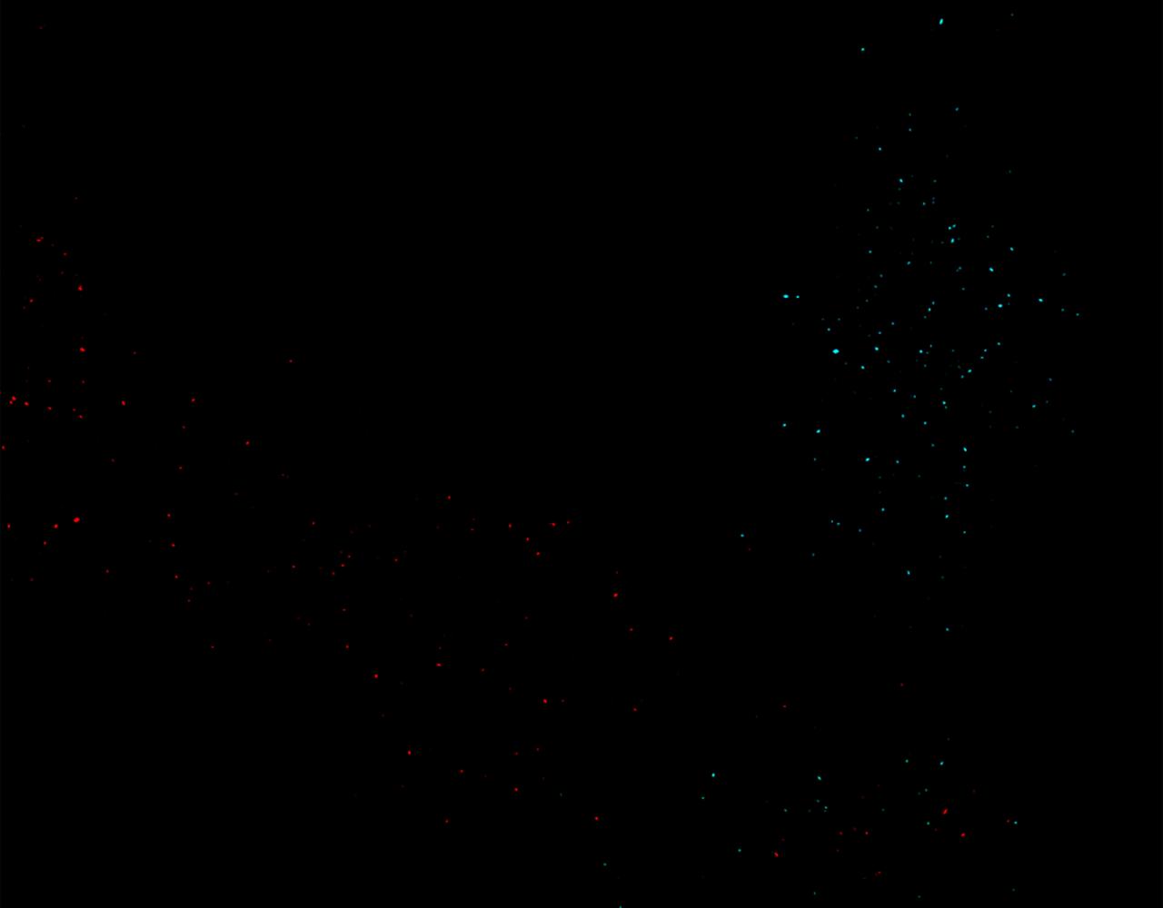 痛苦之神的愛 - 第6話 不信神(1/4) - 1