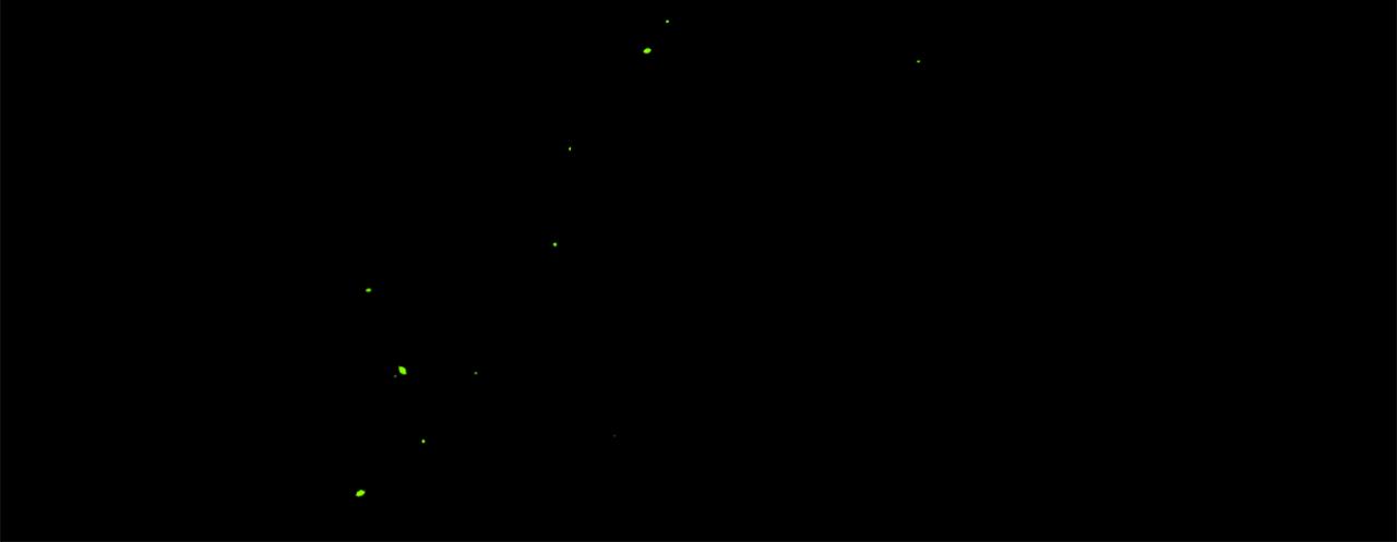 痛苦之神的愛 - 第96話 在外留宿(3/3) - 2