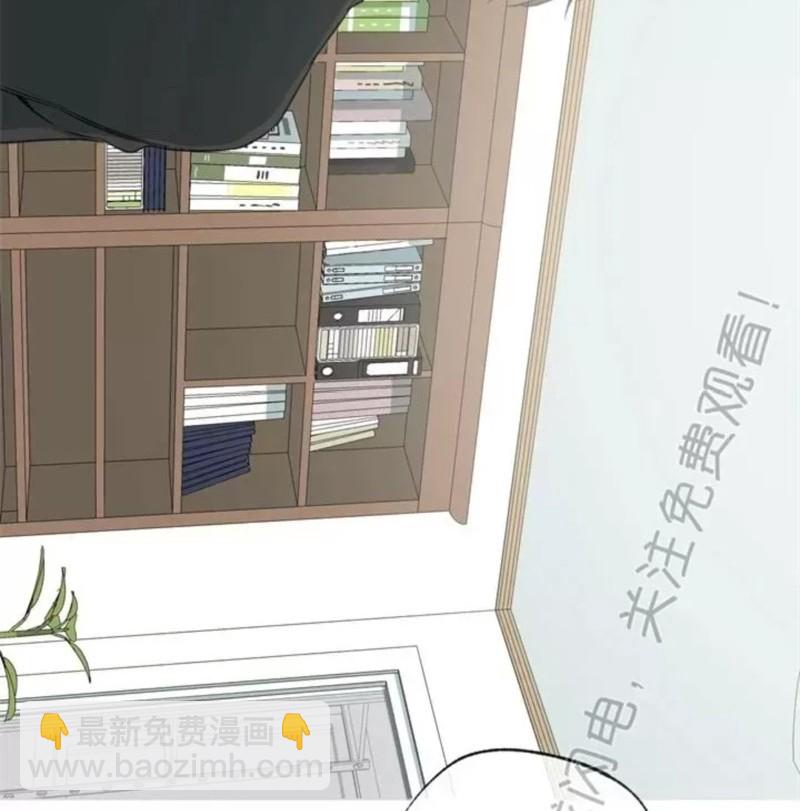 同情的形態 - 番外34(1/2) - 4