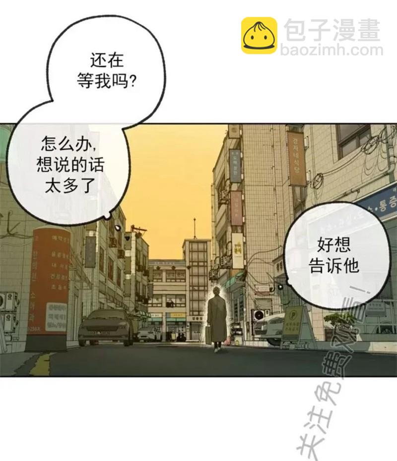 同情的形态 - 番外36(2/2) - 6