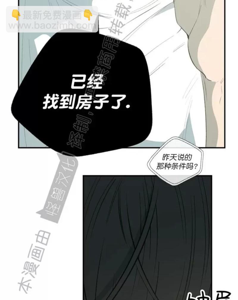 同情的形態 - 番外42(1/2) - 6