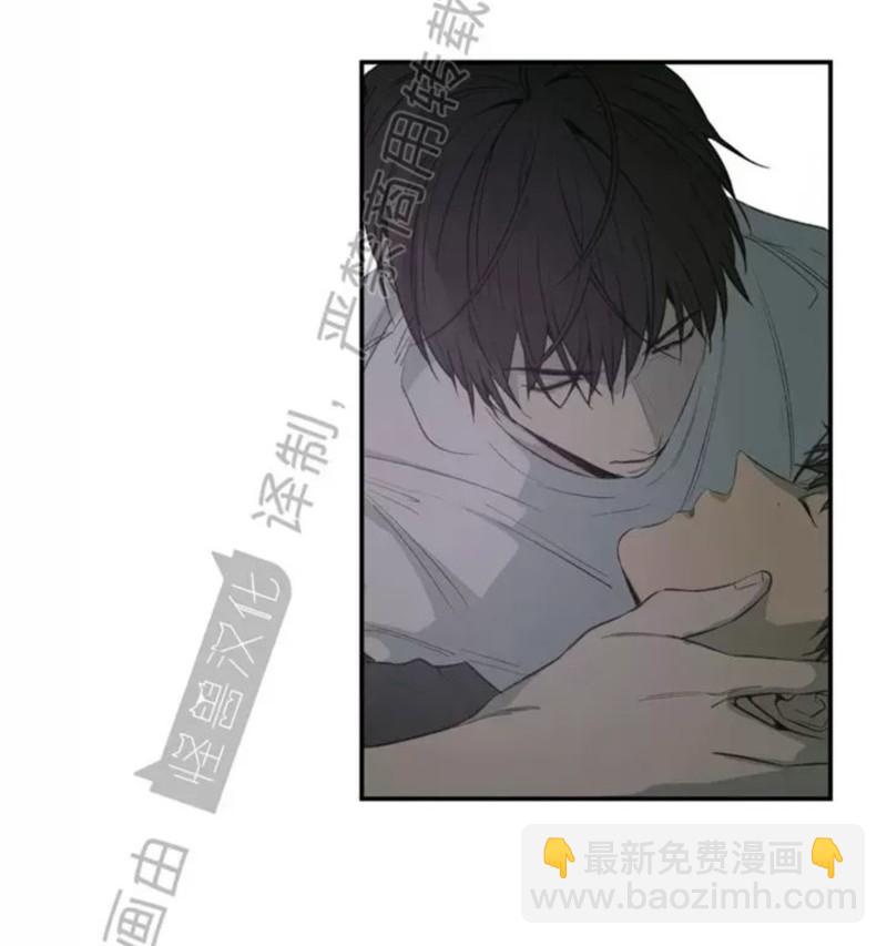 同情的形態 - 番外42(1/2) - 3