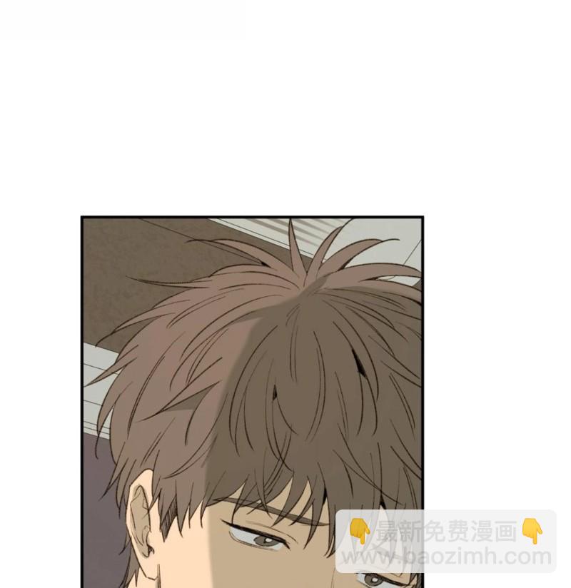 同情的形態 - 番外50(1/2) - 8
