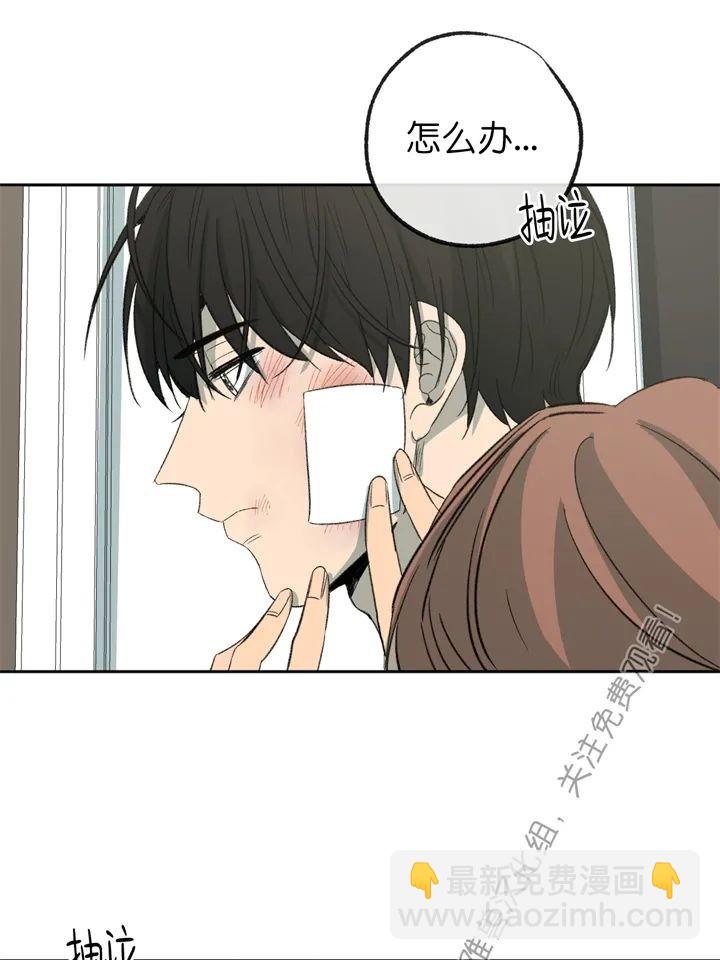 同情的形態 - 第70話(1/2) - 6