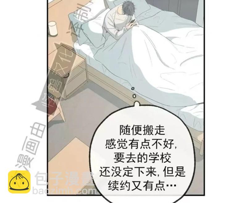 同情的形態 - 番外19(1/3) - 8