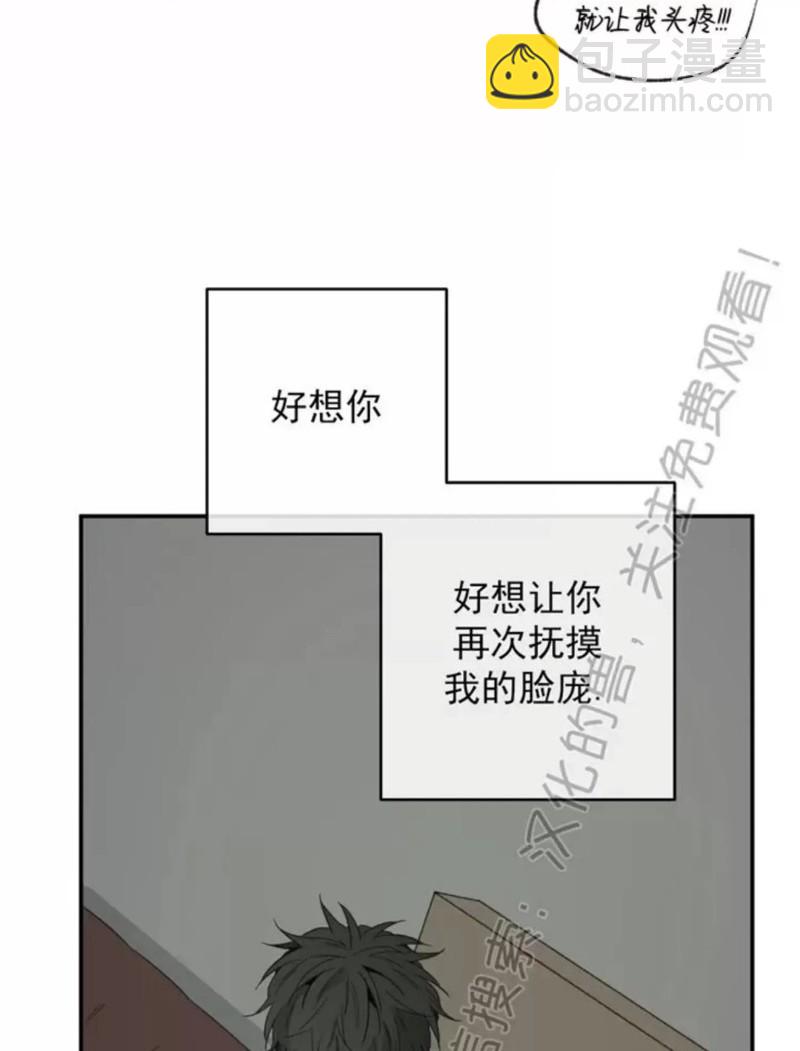 同情的形態 - 番外21(1/2) - 3
