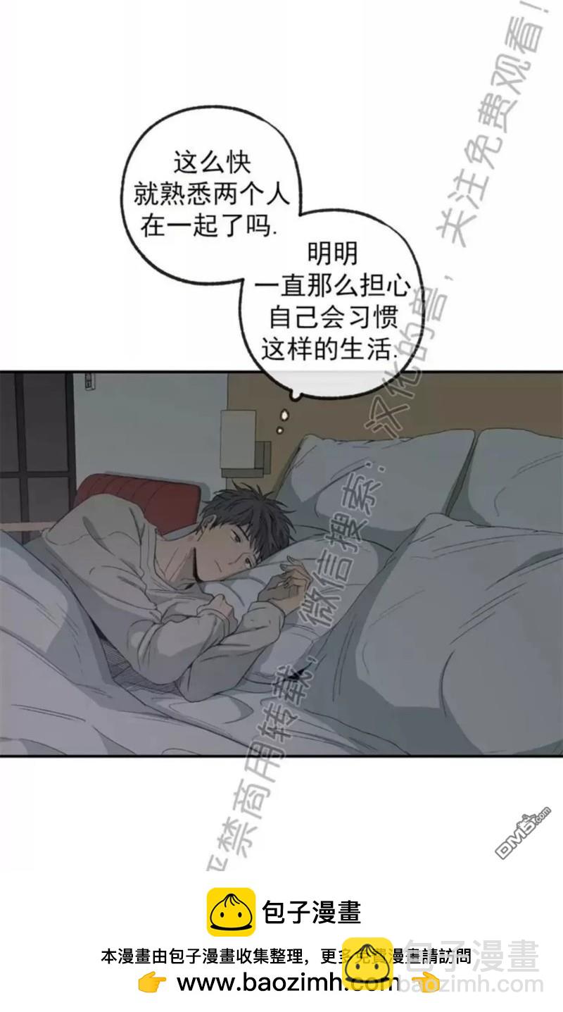 同情的形態 - 番外21(1/2) - 2