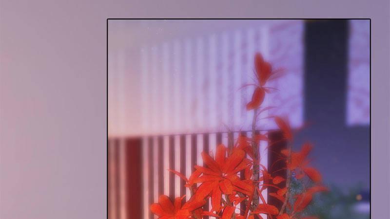 第12话：深夜暗杀(1/2)-第26话