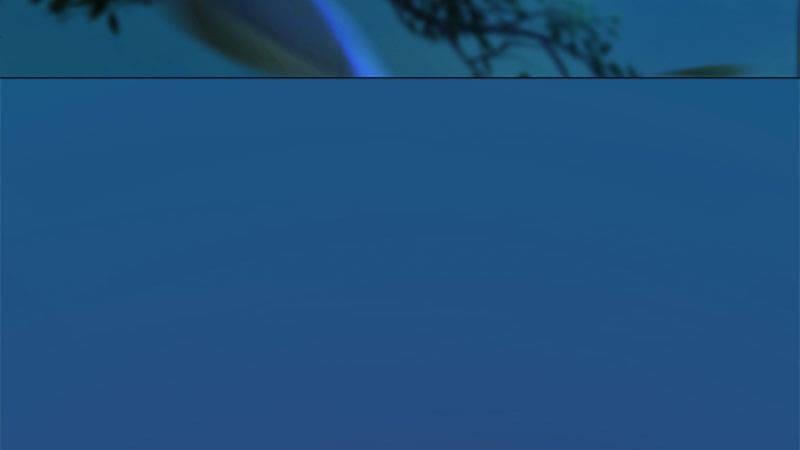 第12话：深夜暗杀(1/2)-第26话