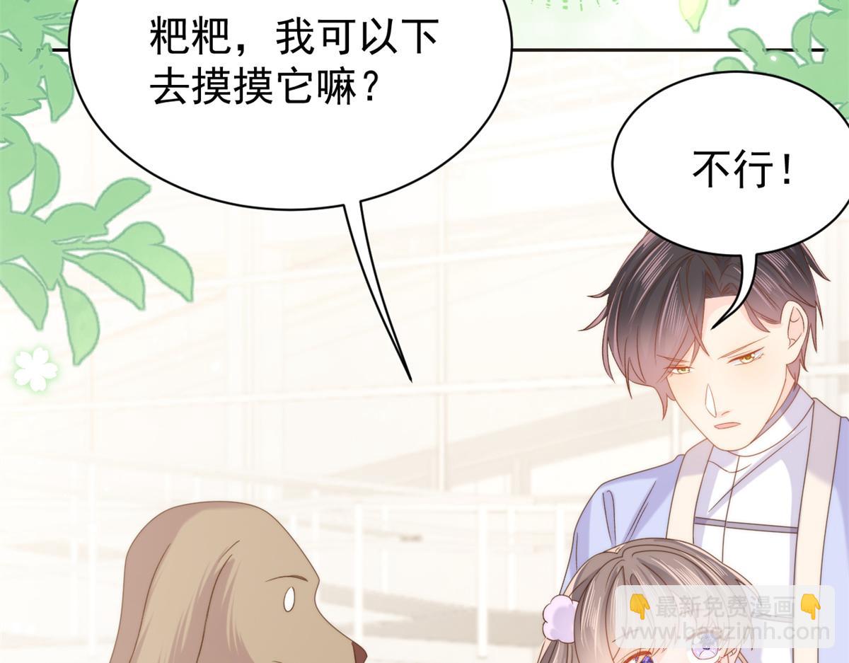 團寵大佬三歲半 - 第113話 獒犬地瓜(1/3) - 7