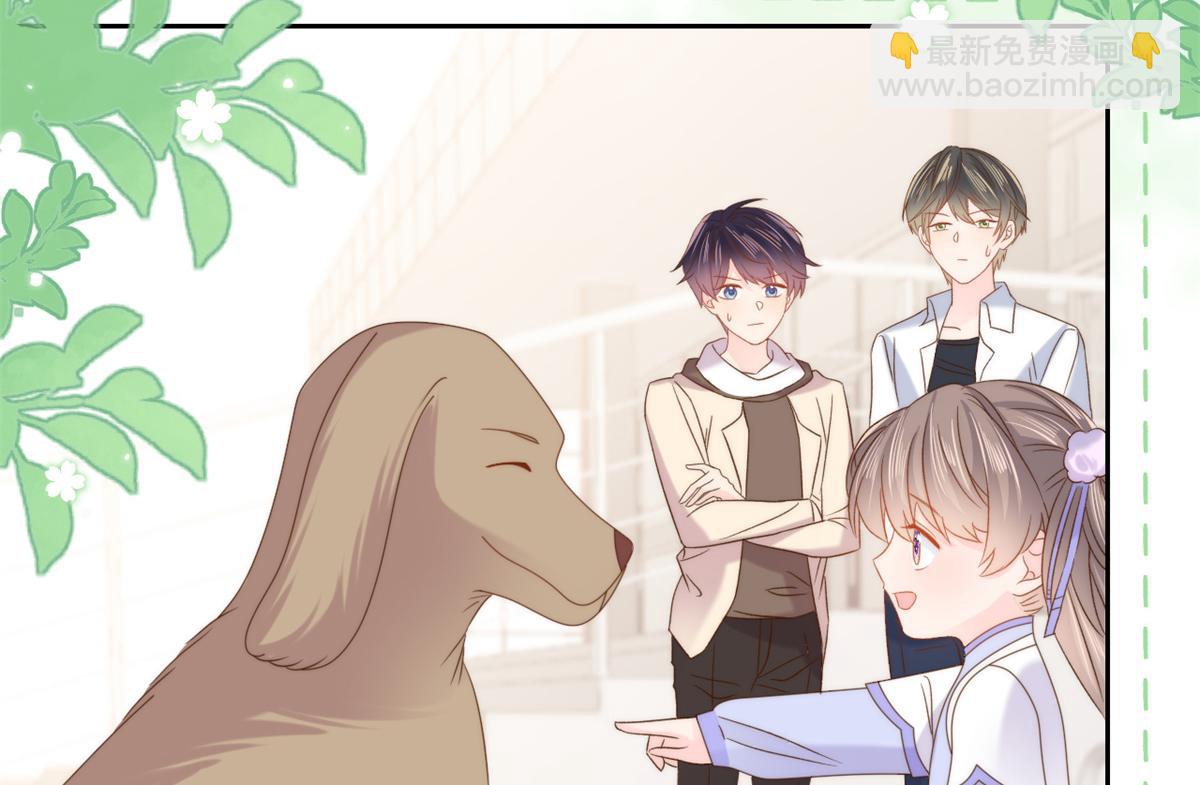 團寵大佬三歲半 - 第113話 獒犬地瓜(2/3) - 6