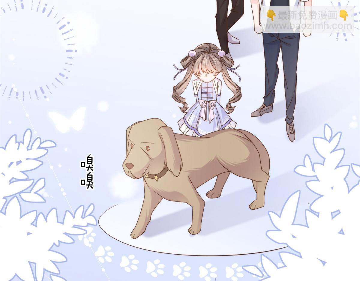 團寵大佬三歲半 - 第113話 獒犬地瓜(2/3) - 8