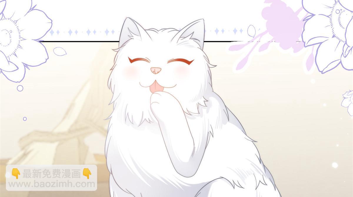 團寵大佬三歲半 - 第131話向霍哥哥坦白小秘密！(3/3) - 5