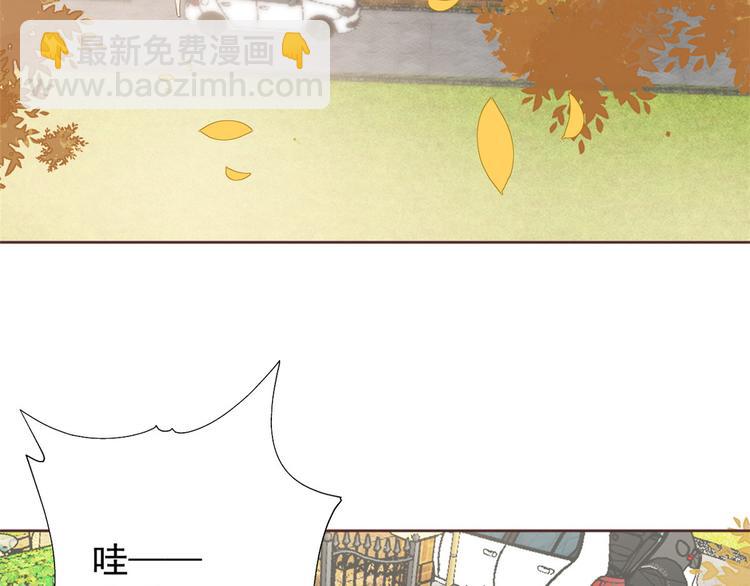 團寵大佬三歲半 - 第4話 辣眼的審美(2/4) - 7