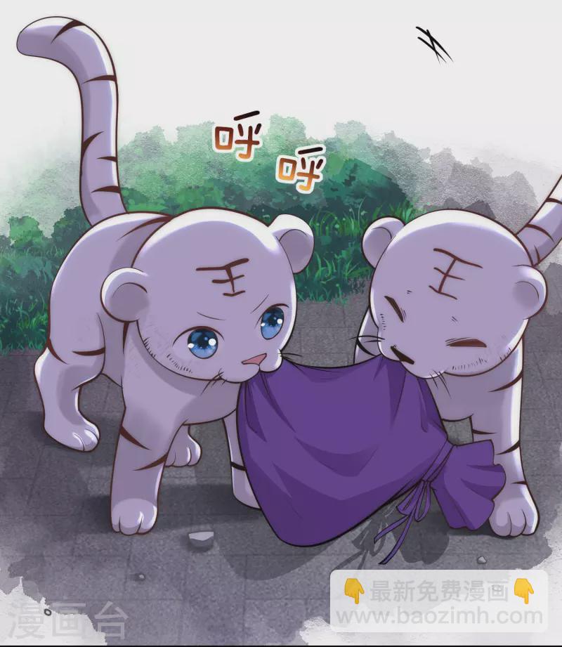 第33话 助攻神宠-第34话