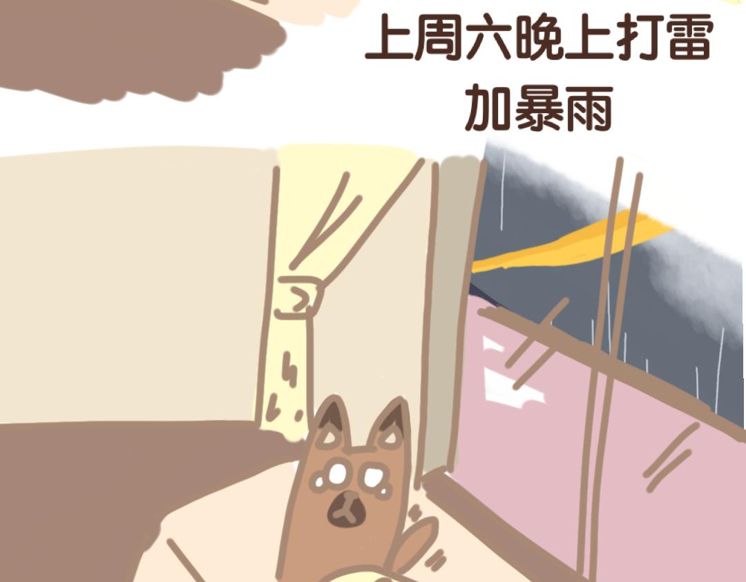 团哥二三事之打雷篇-第10话