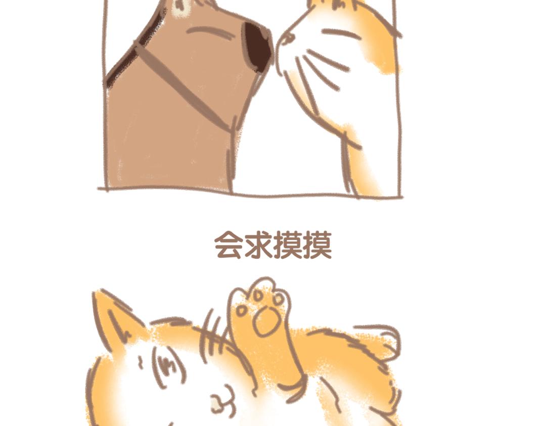 团哥二三事之礼拜五篇-第12话