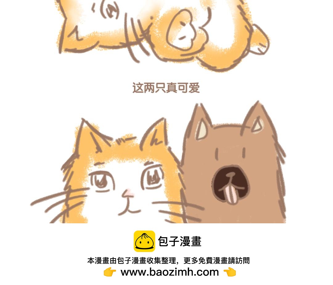 团哥二三事之礼拜五篇-第12话