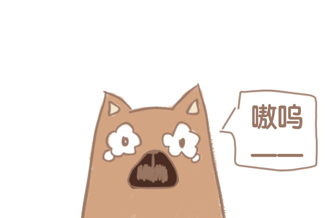 团哥二三事之意外篇-第14话