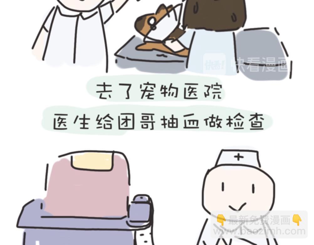 团哥二三事之生病篇-第2话