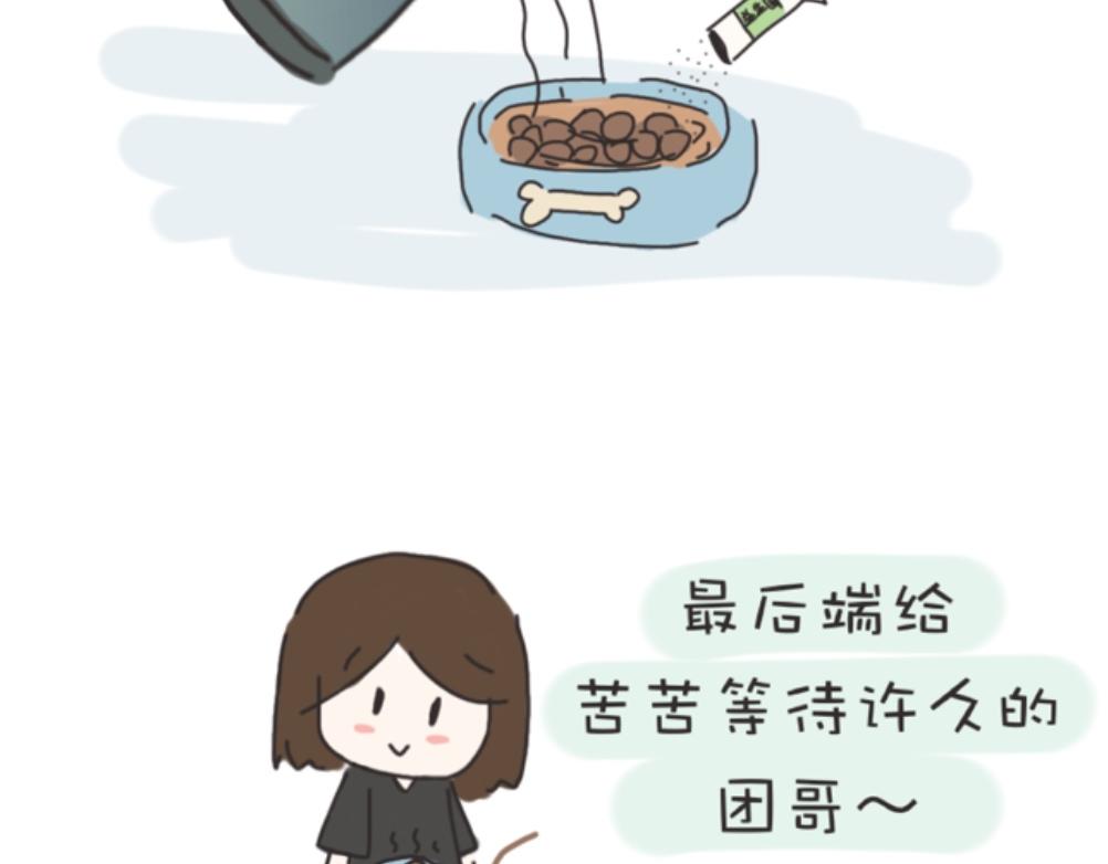 团哥二三事之生病篇-第2话