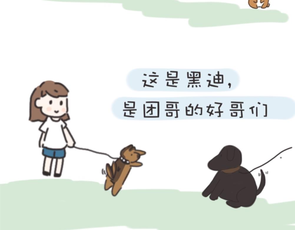 团哥二三事之生病篇-第2话