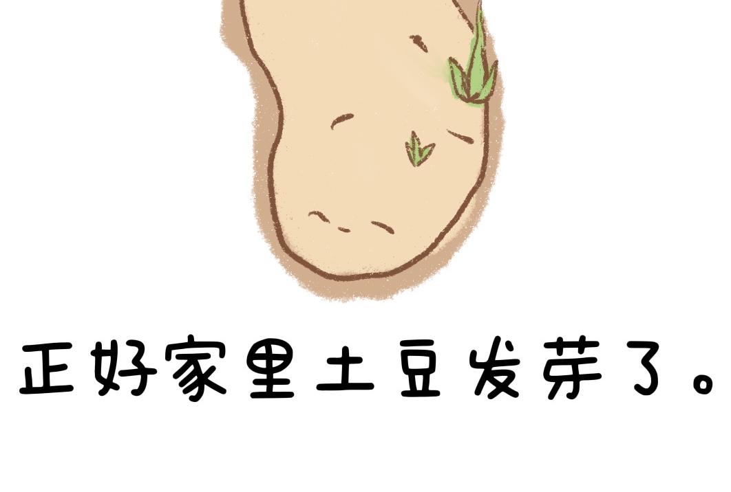 团哥二三事之狗狗厕所篇-第24话