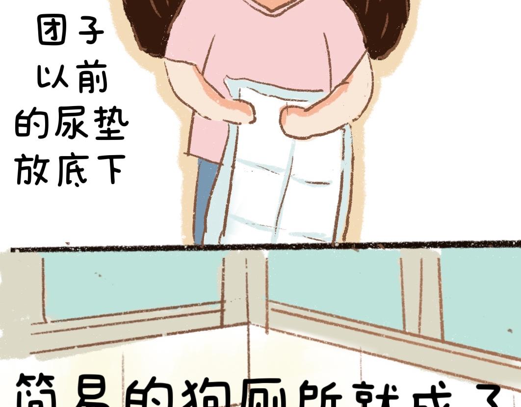 团哥二三事之狗狗厕所篇-第24话