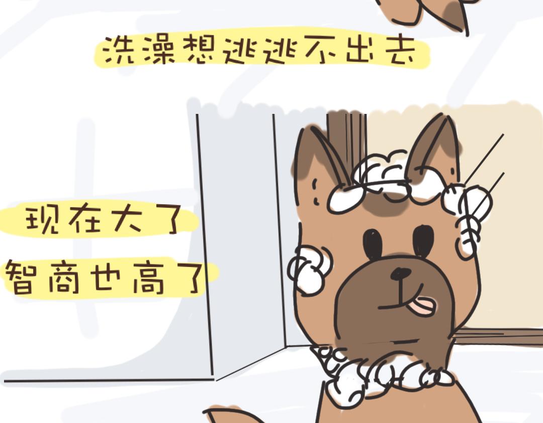 团哥二三事之洗澡篇-第4话