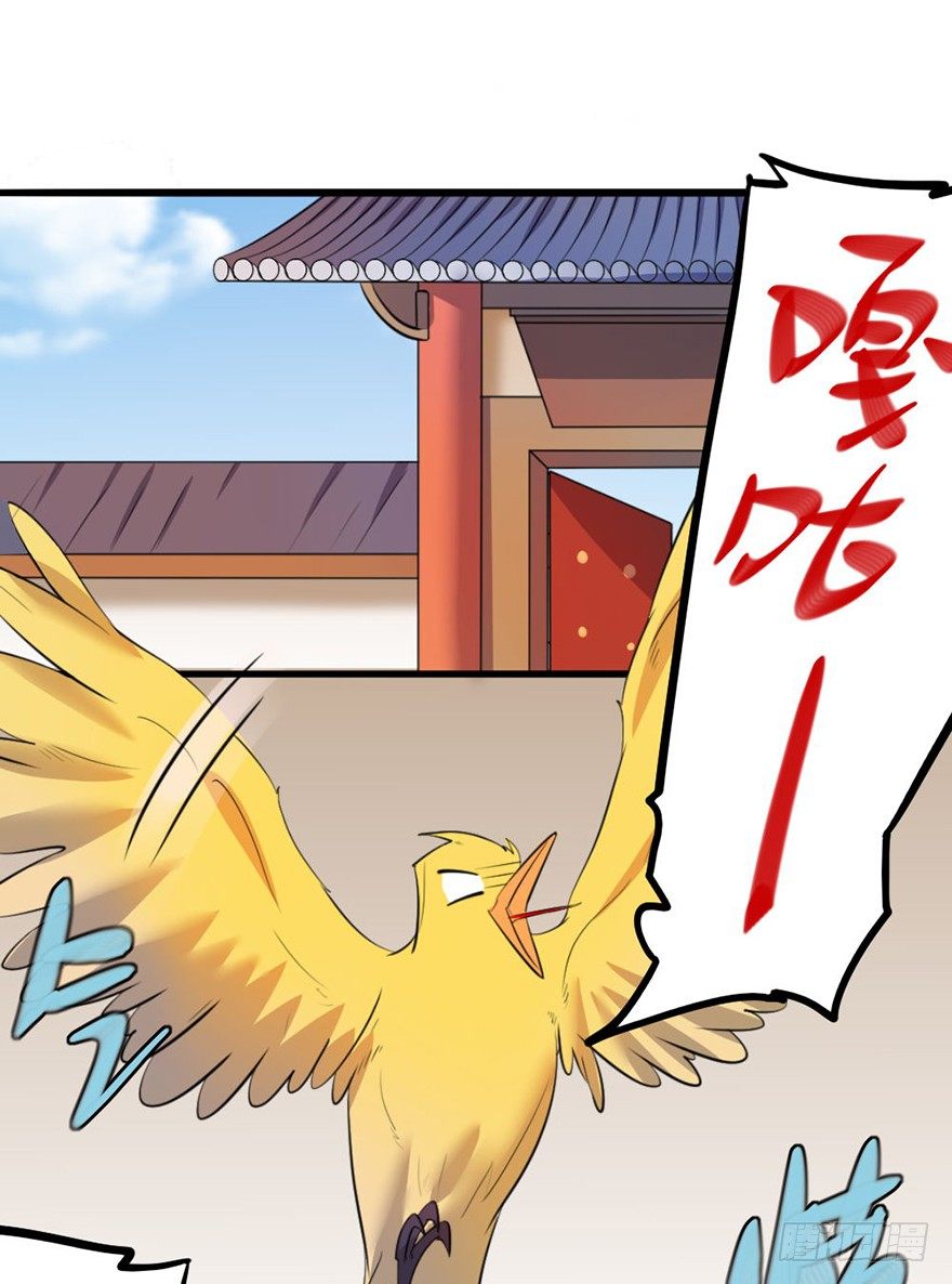 27 赛前特训开始了-第28话