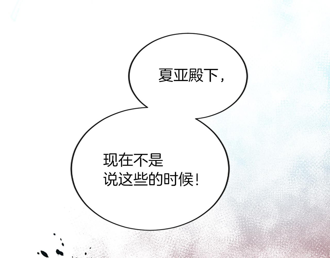 第七十四话 帕夏王子的打算(1/4)-第74话