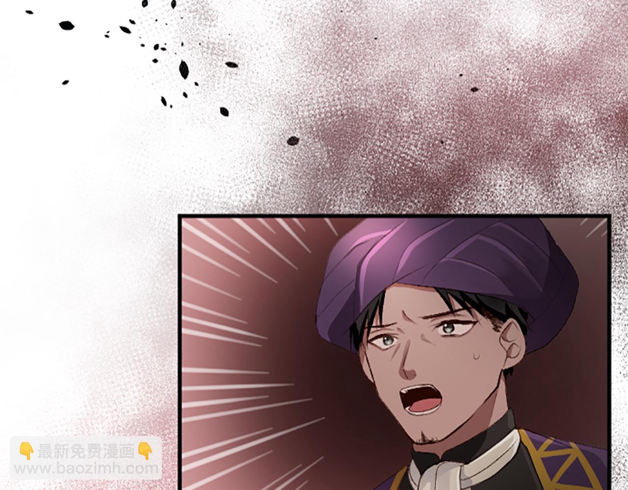 第七十四话 帕夏王子的打算(1/4)-第74话