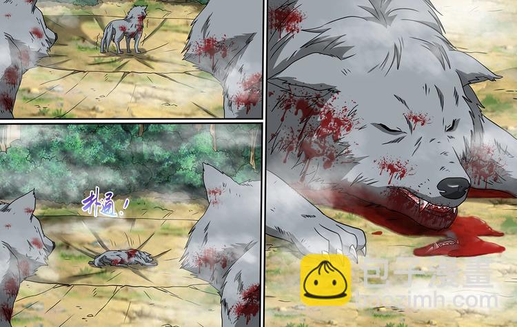 第62话 狼王-第62话