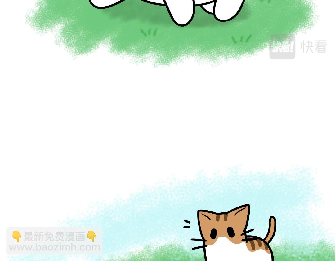 猫咪的娱乐生活-第10话