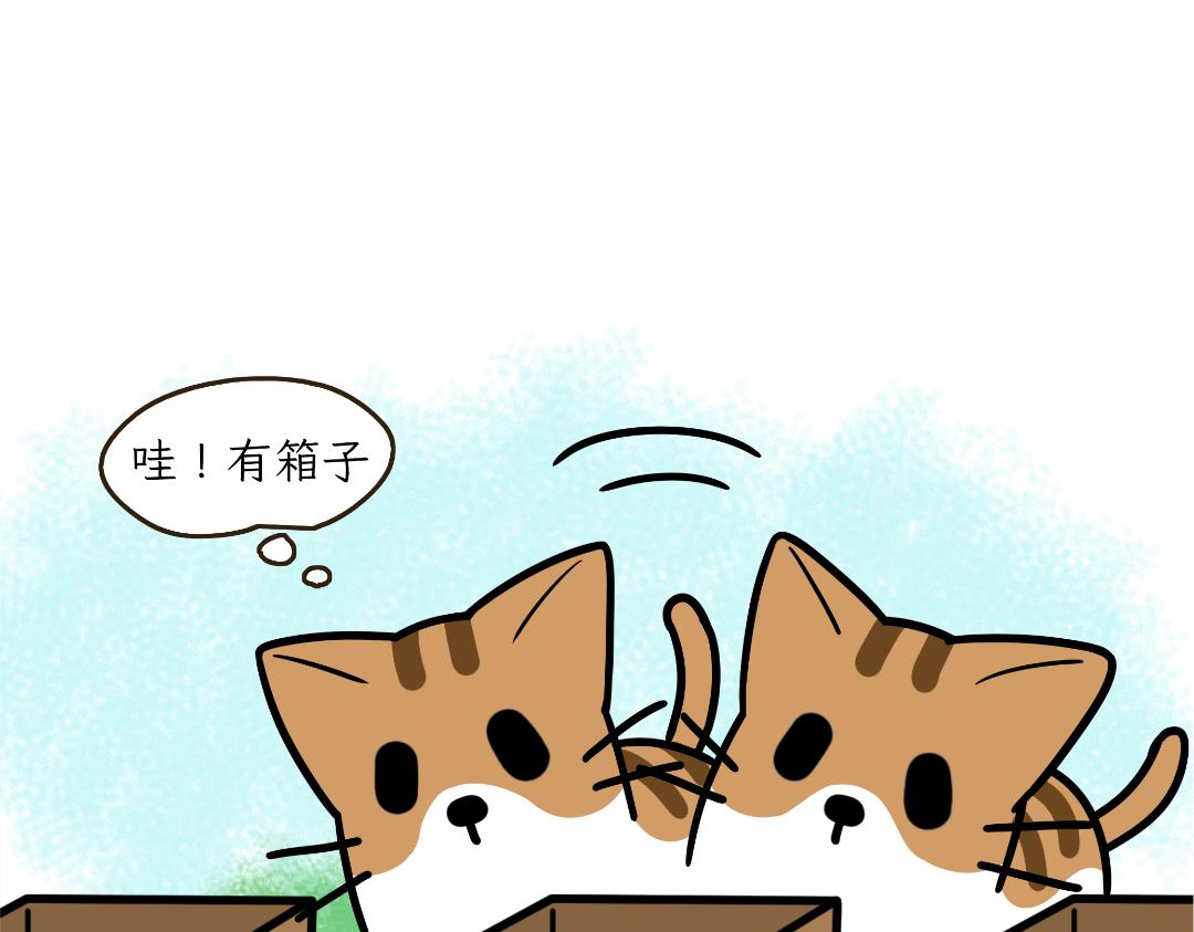 猫咪的娱乐生活-第10话