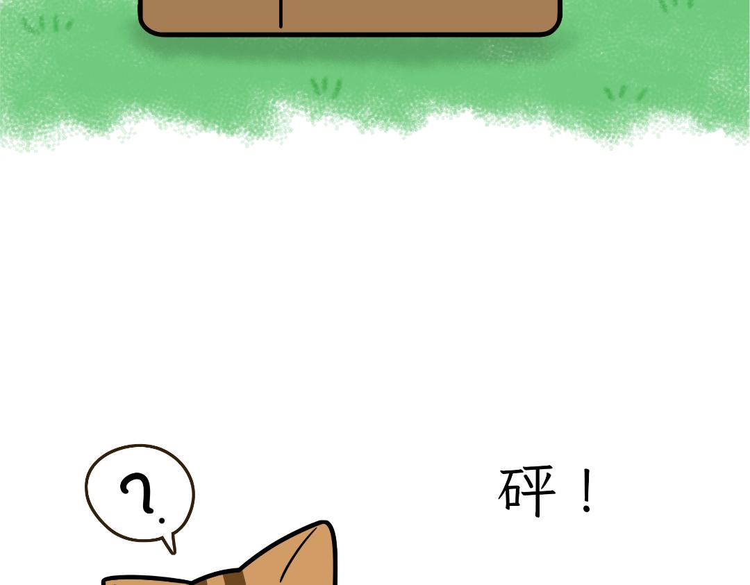 猫咪的娱乐生活-第10话