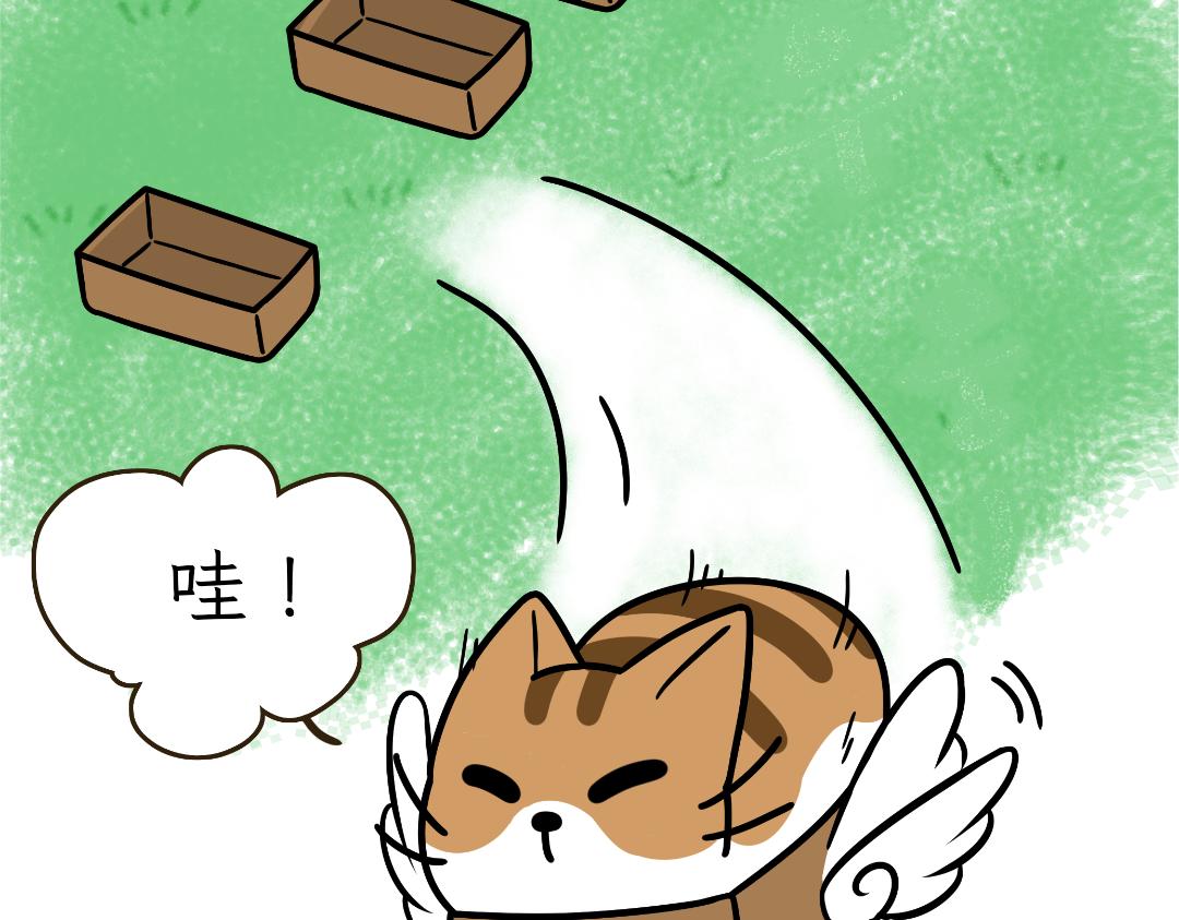 猫咪的娱乐生活-第10话