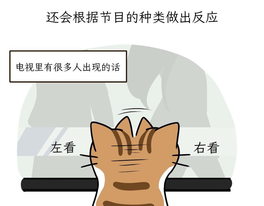 猫咪的娱乐生活-第10话