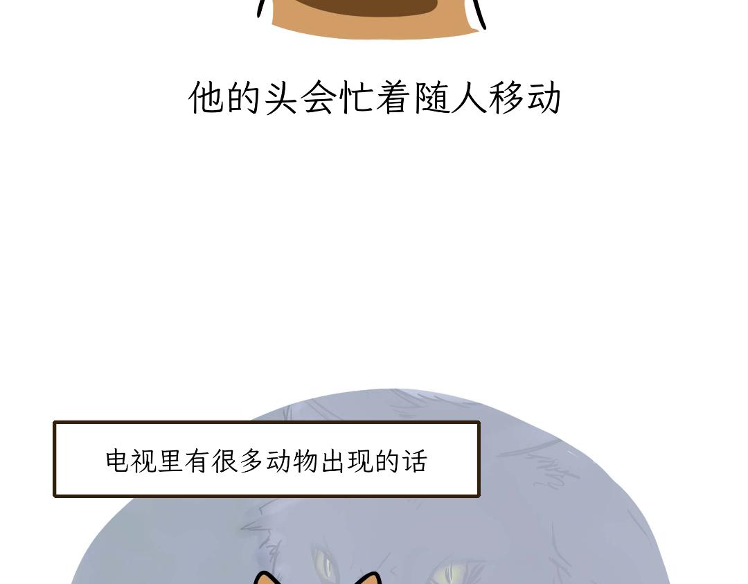 猫咪的娱乐生活-第10话