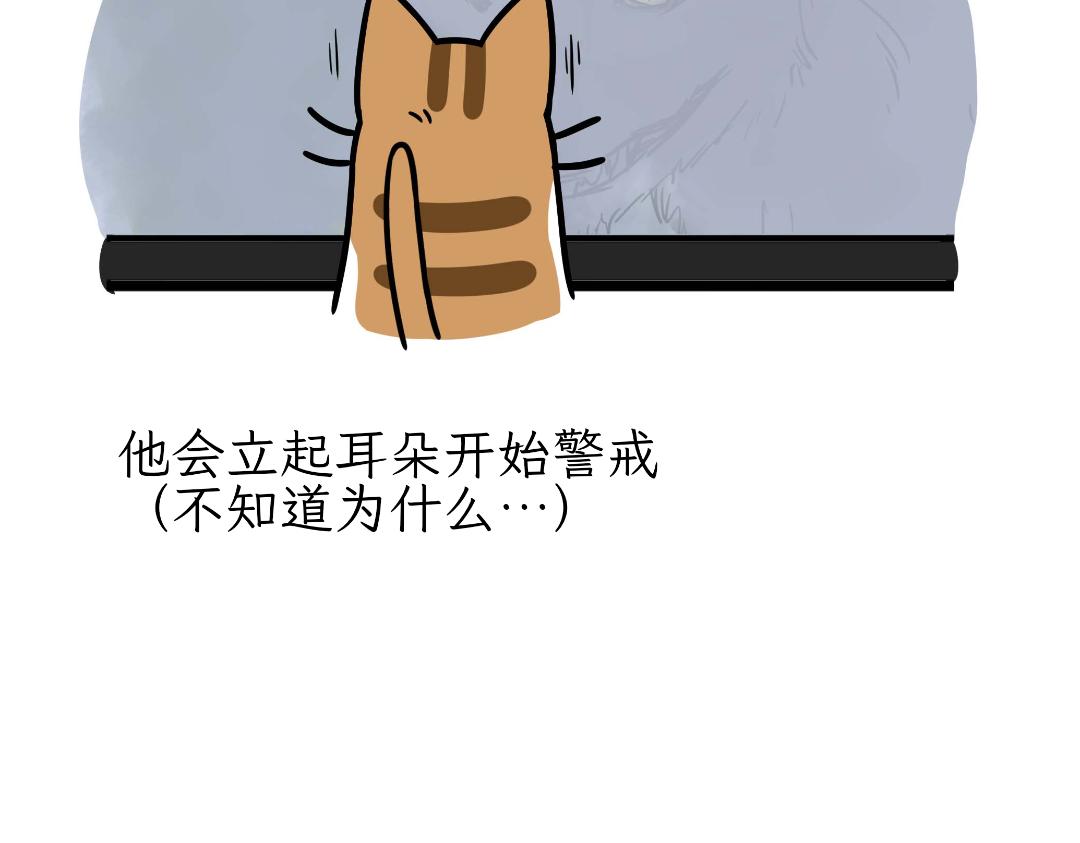 猫咪的娱乐生活-第10话