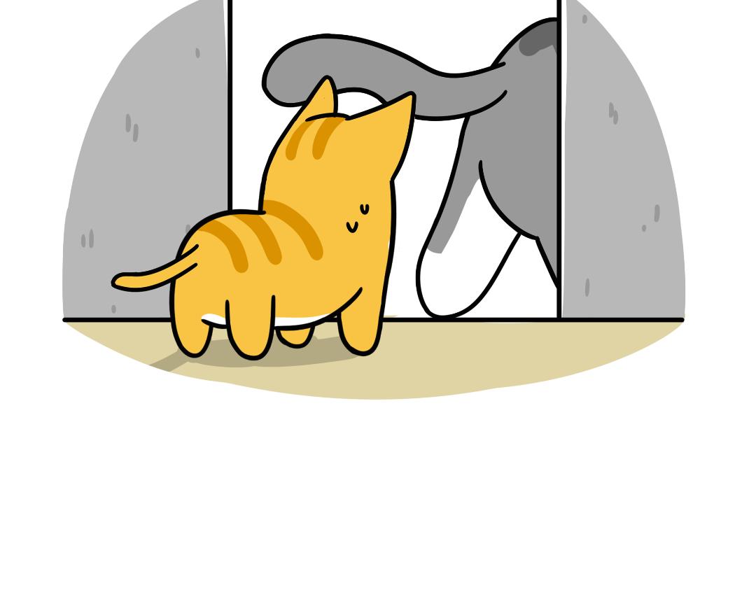 芝士的奇遇-第12话