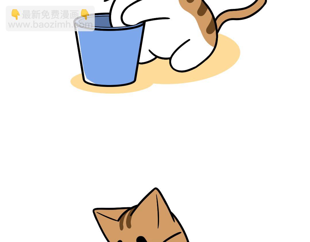 芝士的奇遇-第12话