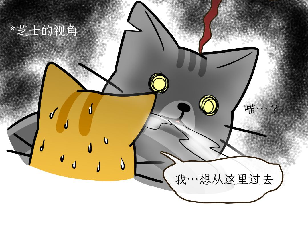 芝士的奇遇-第12话