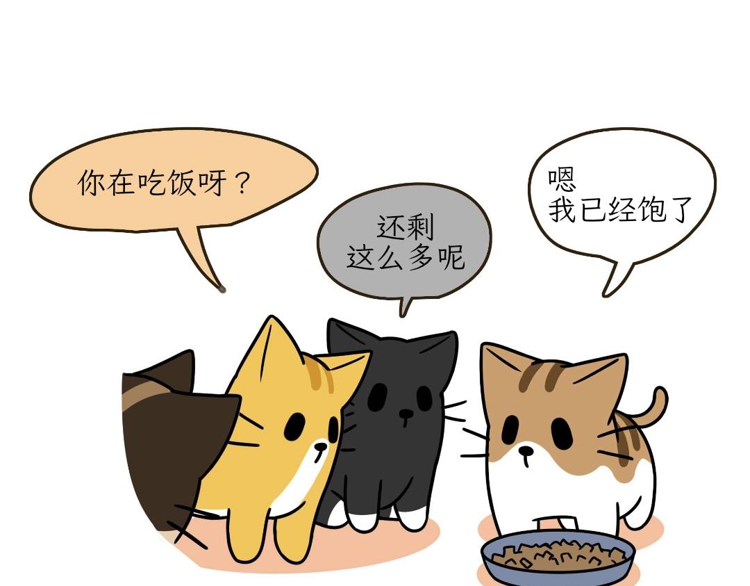 热可可的迷惑操作-第14话