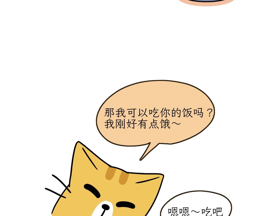 吐司貓咪POUNDCAT - 熱可可的迷惑操作 - 4