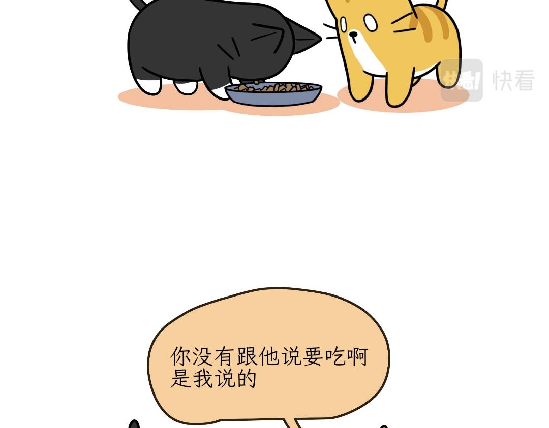 热可可的迷惑操作-第14话