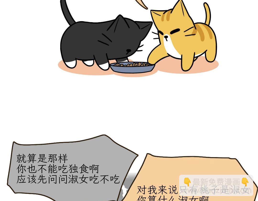 热可可的迷惑操作-第14话